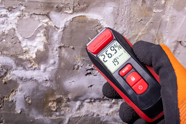 Best Attic Mold Remediation in Hurlburt Field, FL